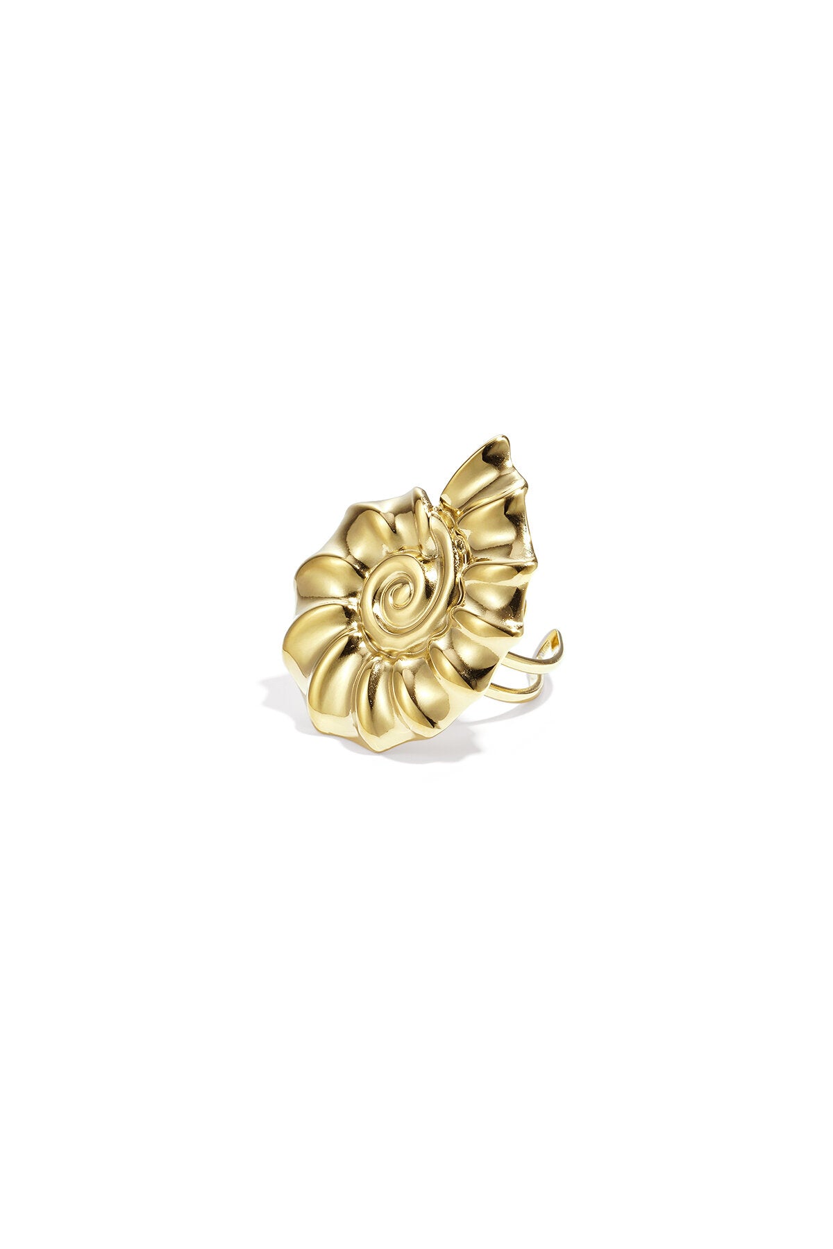 Spiral shell statement ring
