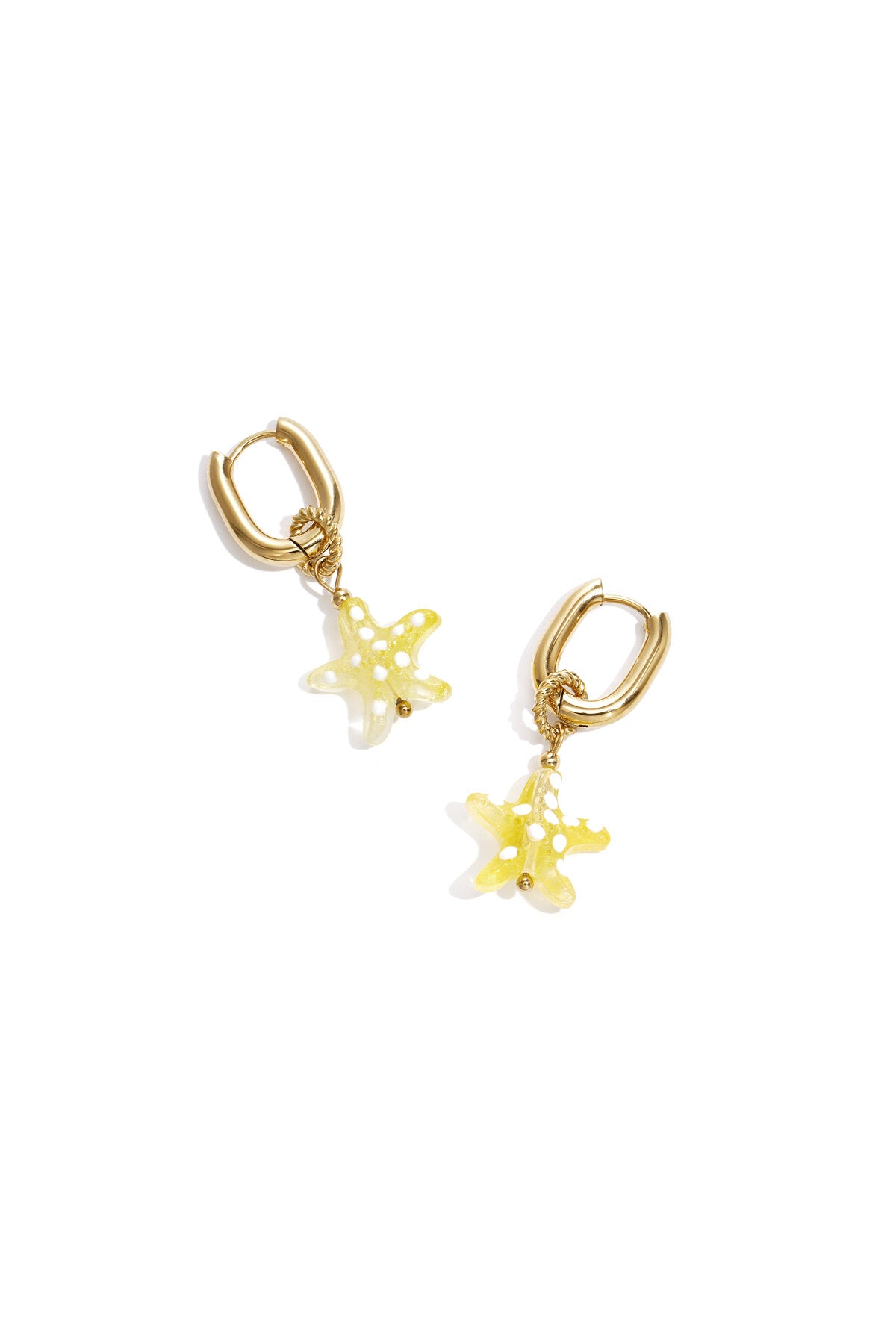 Earrings with spotted starfish
